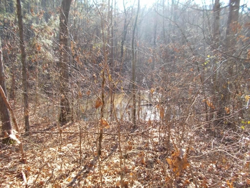 414 Doane Rd, New Market, TN 37820